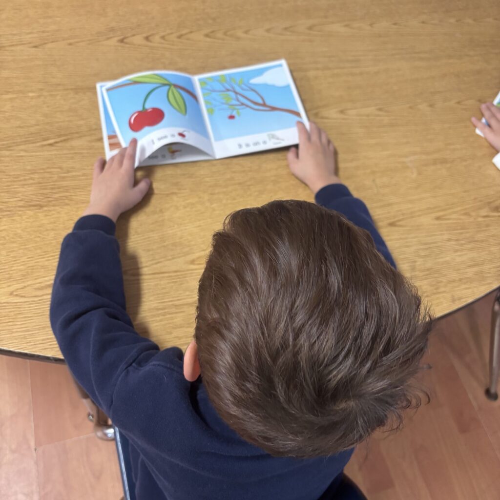 Child reading a picture book at a table